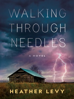 cover image of Walking Through Needles
